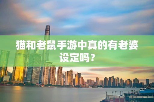 猫和老鼠手游中真的有老婆设定吗？