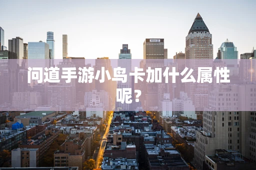 问道手游小鸟卡加什么属性呢？