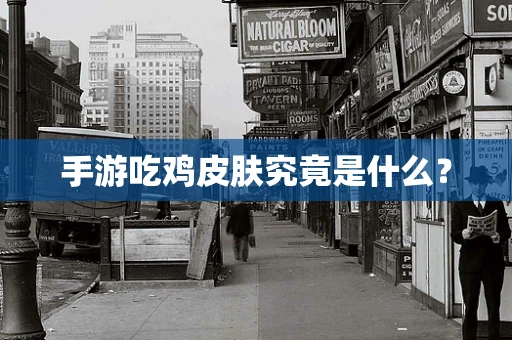 手游吃鸡皮肤究竟是什么？