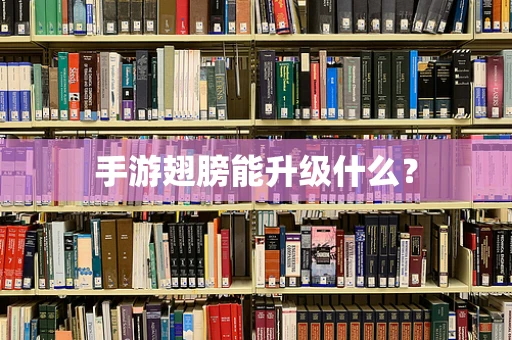 手游翅膀能升级什么？