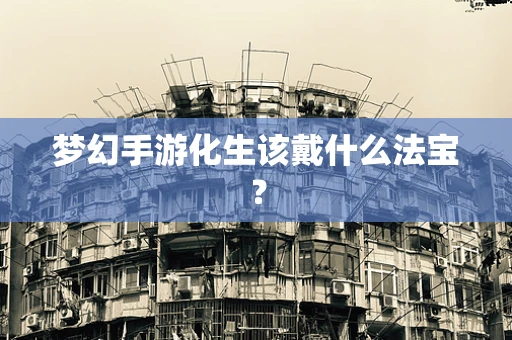 梦幻手游化生该戴什么法宝？