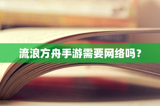 流浪方舟手游需要网络吗？
