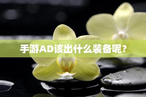 手游AD该出什么装备呢？