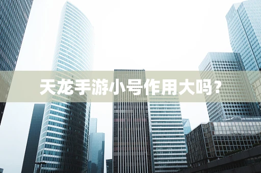 天龙手游小号作用大吗？