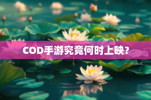 COD手游究竟何时上映？