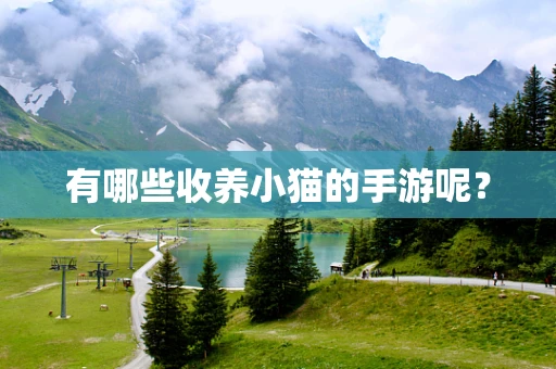 有哪些收养小猫的手游呢？