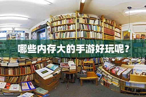 哪些内存大的手游好玩呢？