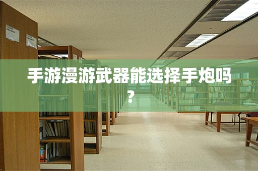 手游漫游武器能选择手炮吗？