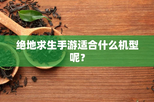 绝地求生手游适合什么机型呢？