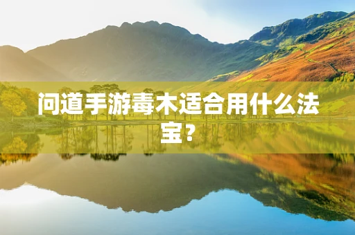 问道手游毒木适合用什么法宝？