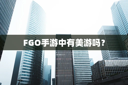 FGO手游中有美游吗？