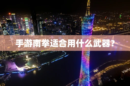 手游南拳适合用什么武器？