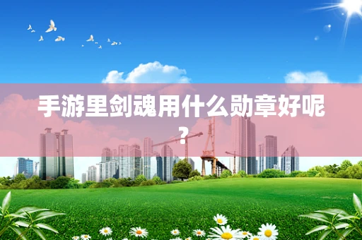 手游里剑魂用什么勋章好呢？