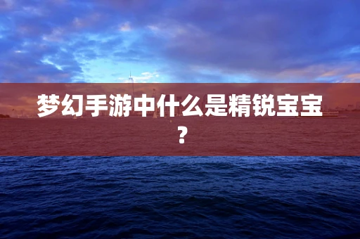 梦幻手游中什么是精锐宝宝？