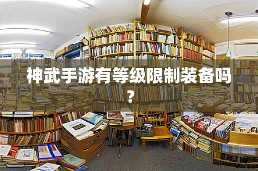 神武手游有等级限制装备吗？