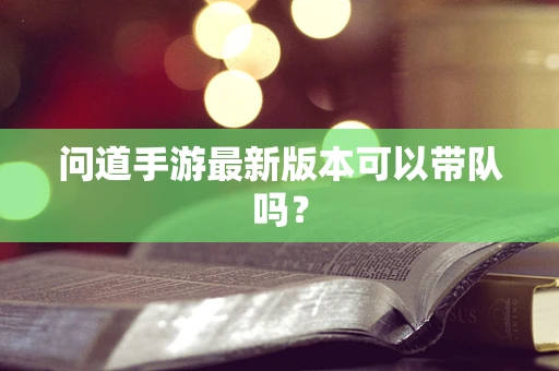 问道手游最新版本可以带队吗？