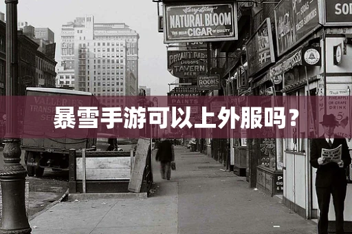 暴雪手游可以上外服吗？