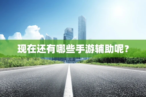 现在还有哪些手游辅助呢？