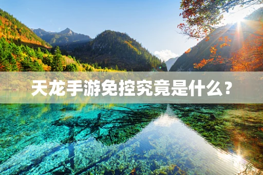 天龙手游免控究竟是什么？