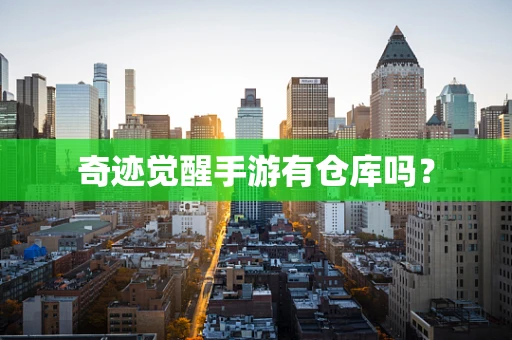 奇迹觉醒手游有仓库吗？