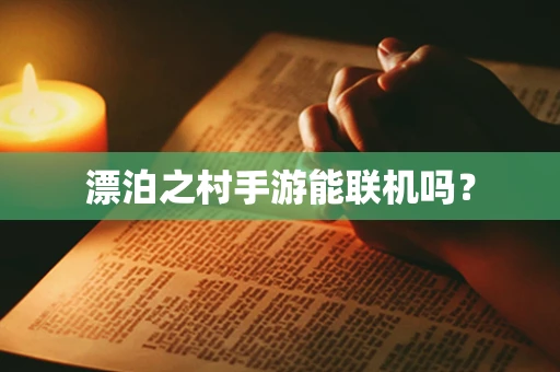 漂泊之村手游能联机吗？