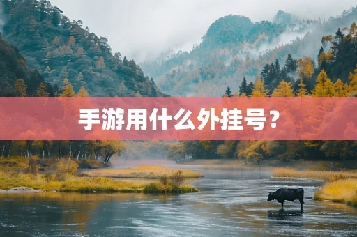 手游用什么外挂号？