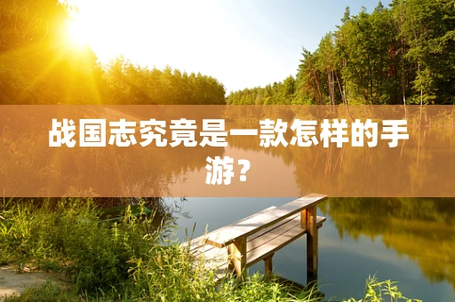 战国志究竟是一款怎样的手游？