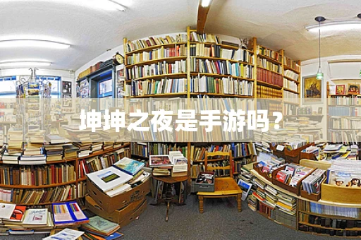 坤坤之夜是手游吗？