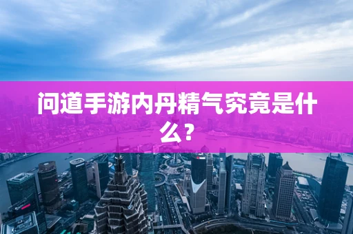 问道手游内丹精气究竟是什么？