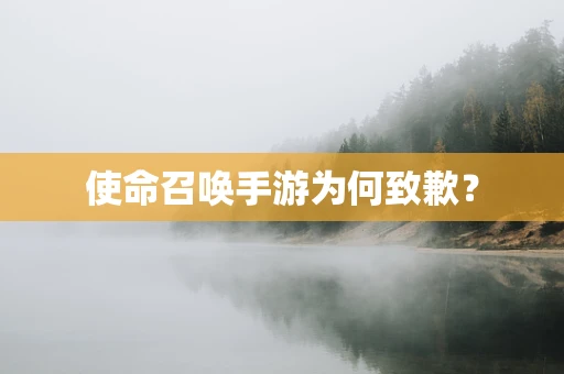 使命召唤手游为何致歉？