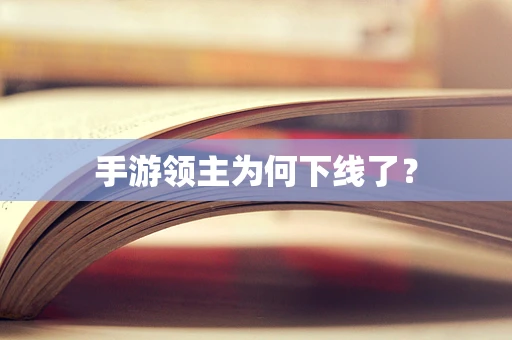 手游领主为何下线了？