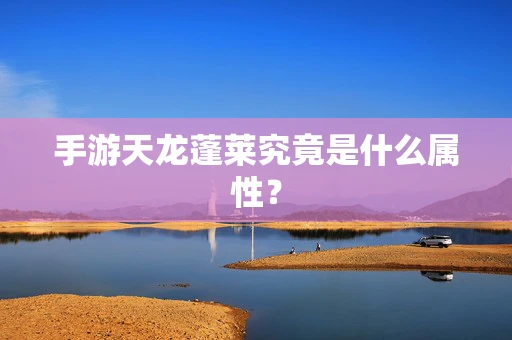 手游天龙蓬莱究竟是什么属性？