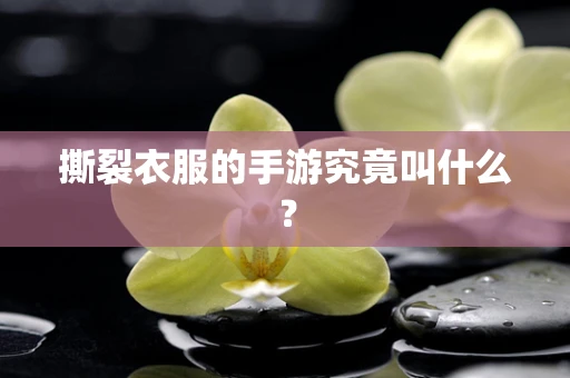 撕裂衣服的手游究竟叫什么？