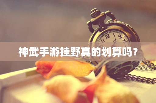 神武手游挂野真的划算吗？