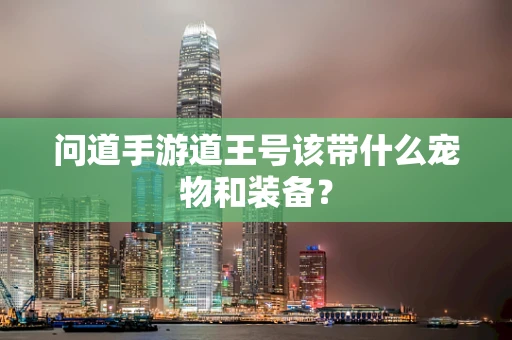 问道手游道王号该带什么宠物和装备？