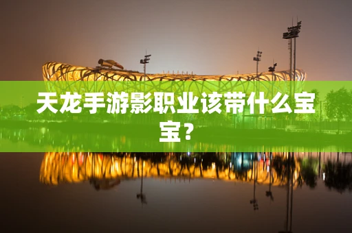天龙手游影职业该带什么宝宝？
