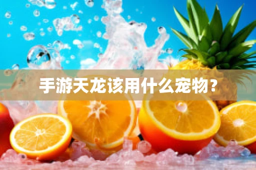 手游天龙该用什么宠物？