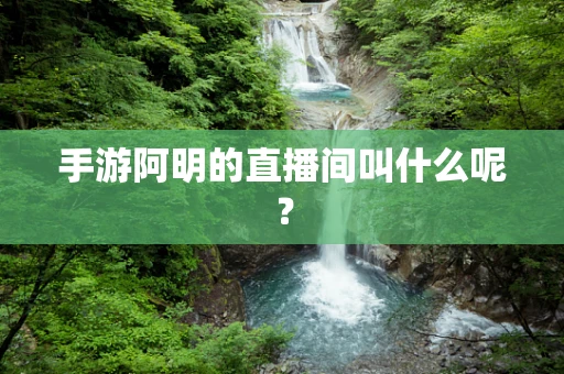 手游阿明的直播间叫什么呢？