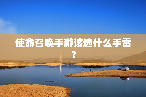 使命召唤手游该选什么手雷？