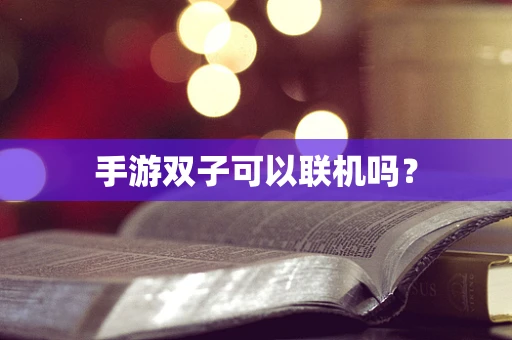 手游双子可以联机吗？