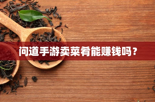 问道手游卖菜肴能赚钱吗？