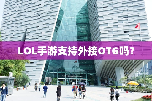 LOL手游支持外接OTG吗？