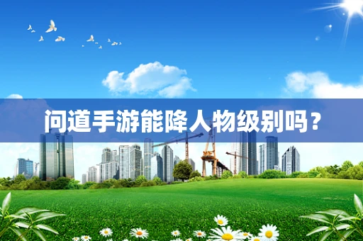 问道手游能降人物级别吗？