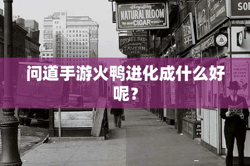 问道手游火鸭进化成什么好呢？